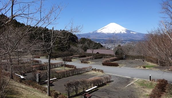 乙女森林公園　第2キャンプ場